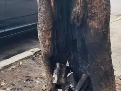 Clima de medo após sessão de espancamento no Centro de Niterói