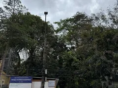 Moradores se mobilizam contra derrubada de árvores em Niterói