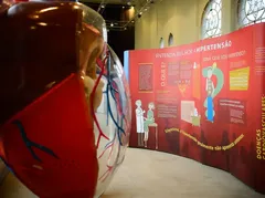 O coração não avisa: 6 dicas simples pra evitar infarto e viver mais