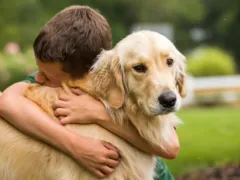 Por que ainda é tabu falar sobre a dor do luto por um pet?