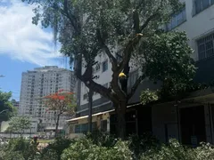 Replantio confirmado no Centro de Niterói após realização de obras