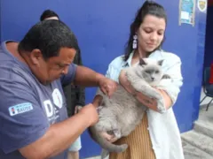 São Gonçalo tem vacinação para cães e gatos no sábado (20)