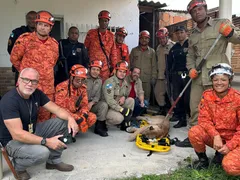 Surpresa na madrugada: onça-parda aparece em casa no Rio