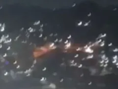 Tiroteio volta a aterrorizar Zona Norte de Niterói; vídeo