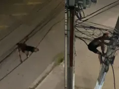 Veja ranking das cidades com mais furtos de cabos; São Gonçalo é vice