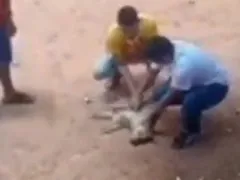 Vídeo emocionante: PM faz massagem cardíaca e salva cachorro
