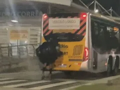Vídeo: homem de patins pega 'carona' na traseira do BRT no Rio