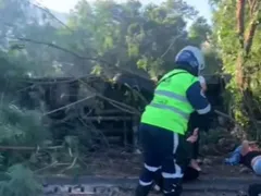 Vídeo: ônibus tomba e cai dentro de rio na Zona Oeste
