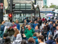 Você sabe quais são os estados mais populosos do Brasil?