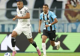 Botafogo pode garantir vaga na Libertadores neste sábado