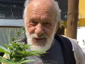 Ator de 'A Viagem' tem plantação de maconha investigada