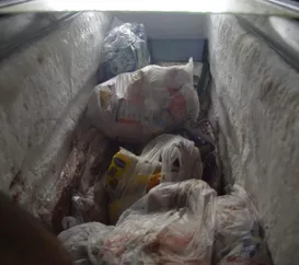 Bares e 'japa' fechados no Rio por sujeira e comida imprópria; fotos