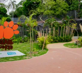 BioParque fecha novamente após novas mortes de aves no Rio