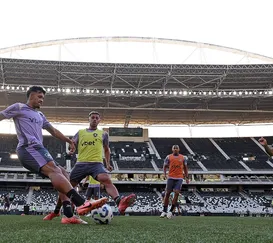 Botafogo recebe o Mirassol em jogo atrasado do Brasileirão