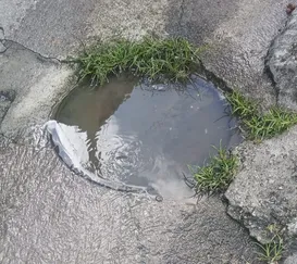 Bueiro transborda há duas semanas em Niterói: 'Vergonhoso'