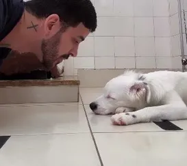 Cachorrinho surdo acordado por tutor emociona web; vídeo