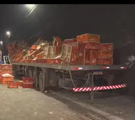 Caminhão com galinhas vivas tomba em túnel no Rio