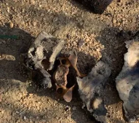Cemitério clandestino do tráfico é descoberto pela Polícia na Zona Oeste do Rio