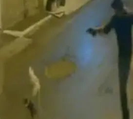 Chocante: câmeras flagram homem atirando contra cachorro em Magé