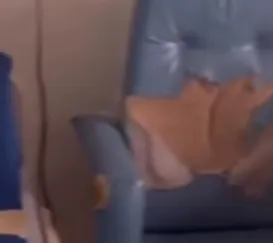 Condições precárias em maternidade revoltam grávidas no Rio