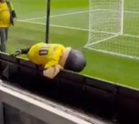 Mascote de time é expulsa de estádio após aparecer bêbada