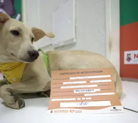 Microchipagem gratuita para cães e gatos em Niterói neste sábado