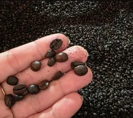 O café que você compra é fraudado? Entenda como identificar