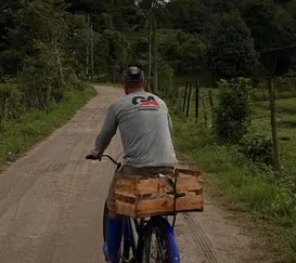 Ônibus de graça em Magé? Só para alguns