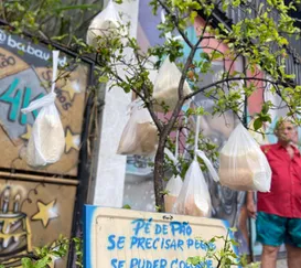 'Pé de pão': a árvore da solidariedade de São Gonçalo; veja como funciona