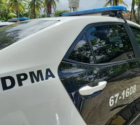 Polícia estoura torneio clandestino de canto de pássaros no Rio