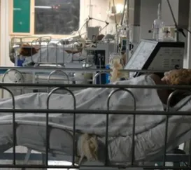 Quadrilha do falso exame médico é desarticulada no Rio