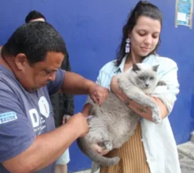 São Gonçalo tem vacinação para cães e gatos no sábado (20)