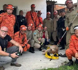 Surpresa na madrugada: onça-parda aparece em casa no Rio