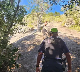 Trilha evacuada às pressas por incêndio em ponto turístico de Maricá