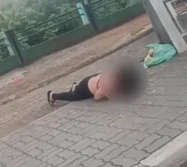 Vídeo assustador mostra ataque de abelhas no Rio: 'Socorro'