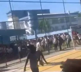 Vídeo mostra pânico em escola do Rio com invasão de pitbull