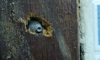 Imagem ilustrativa da imagem Alunos encontram câmera escondida em banheiro de escola particular no Rio