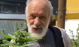 Imagem ilustrativa da imagem Ator de 'A Viagem' tem plantação de maconha investigada