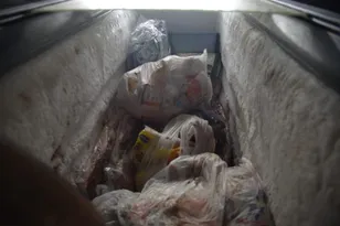 Imagem ilustrativa da imagem Bares e 'japa' fechados no Rio por sujeira e comida imprópria; fotos