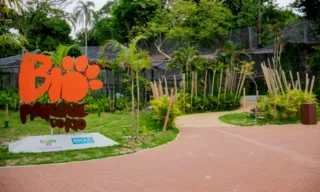 Imagem ilustrativa da imagem BioParque fecha novamente após novas mortes de aves no Rio