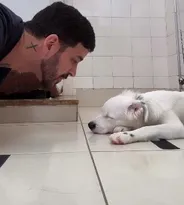 Imagem ilustrativa da imagem Cachorrinho surdo acordado por tutor emociona web; vídeo