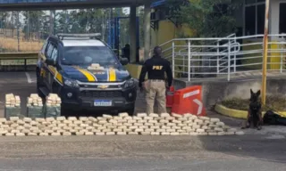 Imagem ilustrativa da imagem Cães farejam mais de meia tonelada de drogas em caminhão na Dutra