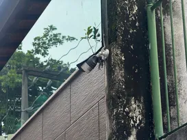 Imagem ilustrativa da imagem Câmeras podem revelar detalhes de assassinato em Niterói