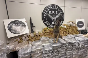 Imagem ilustrativa da imagem Caminhoneiro é preso com quase 1 tonelada de maconha e fuzil