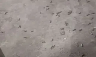 Imagem ilustrativa da imagem Cena de guerra durante confronto de facções rivais no Rio