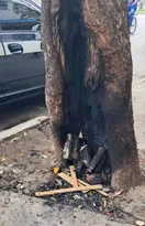Imagem ilustrativa da imagem Clima de medo após sessão de espancamento no Centro de Niterói
