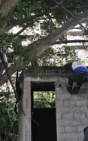Imagem ilustrativa da imagem Falsos funcionários tentam aplicar golpe e acabam presos em Icaraí; vídeo