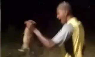 Imagem ilustrativa da imagem Jovem joga cachorro em matagal e animal é achado morto; vídeo