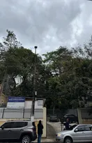 Imagem ilustrativa da imagem Moradores se mobilizam contra derrubada de árvores em Niterói