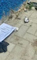 Imagem ilustrativa da imagem Motorista que atropelou 8 pessoas na RJ-106 tinha CNH vencida